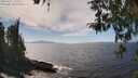 ./images/koeye/fitz-hugh/20260411/fitz-hugh20260411_143501M.jpg