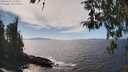 ./images/koeye/fitz-hugh/20260411/fitz-hugh20260411_144001M.jpg