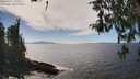 ./images/koeye/fitz-hugh/20260411/fitz-hugh20260411_144502M.jpg