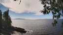 ./images/koeye/fitz-hugh/20260411/fitz-hugh20260411_145002M.jpg