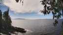 ./images/koeye/fitz-hugh/20260411/fitz-hugh20260411_145501M.jpg