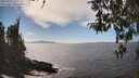 ./images/koeye/fitz-hugh/20260411/fitz-hugh20260411_151002M.jpg