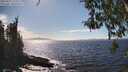 ./images/koeye/fitz-hugh/20260411/fitz-hugh20260411_154002M.jpg