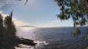 ./images/koeye/fitz-hugh/20260411/fitz-hugh20260411_154501M.jpg