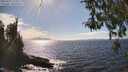 ./images/koeye/fitz-hugh/20260411/fitz-hugh20260411_155501M.jpg