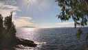 ./images/koeye/fitz-hugh/20260411/fitz-hugh20260411_160001M.jpg
