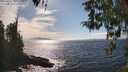 ./images/koeye/fitz-hugh/20260411/fitz-hugh20260411_161001M.jpg