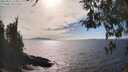 ./images/koeye/fitz-hugh/20260411/fitz-hugh20260411_162501M.jpg