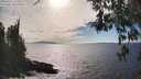 ./images/koeye/fitz-hugh/20260411/fitz-hugh20260411_163001M.jpg