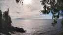 ./images/koeye/fitz-hugh/20260411/fitz-hugh20260411_164002M.jpg