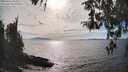 ./images/koeye/fitz-hugh/20260411/fitz-hugh20260411_164501M.jpg