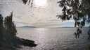 ./images/koeye/fitz-hugh/20260411/fitz-hugh20260411_165002M.jpg