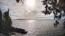 ./images/koeye/fitz-hugh/20260411/fitz-hugh20260411_170001M.jpg