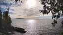 ./images/koeye/fitz-hugh/20260411/fitz-hugh20260411_171001M.jpg
