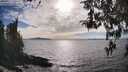 ./images/koeye/fitz-hugh/20260411/fitz-hugh20260411_171501M.jpg
