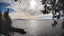 ./images/koeye/fitz-hugh/20260411/fitz-hugh20260411_172001M.jpg