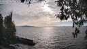 ./images/koeye/fitz-hugh/20260411/fitz-hugh20260411_174001M.jpg