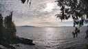 ./images/koeye/fitz-hugh/20260411/fitz-hugh20260411_174502M.jpg