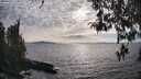 ./images/koeye/fitz-hugh/20260411/fitz-hugh20260411_175001M.jpg