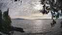 ./images/koeye/fitz-hugh/20260411/fitz-hugh20260411_181001M.jpg