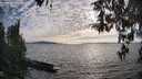 ./images/koeye/fitz-hugh/20260411/fitz-hugh20260411_182501M.jpg