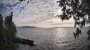 ./images/koeye/fitz-hugh/20260411/fitz-hugh20260411_183001M.jpg
