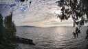 ./images/koeye/fitz-hugh/20260411/fitz-hugh20260411_183501M.jpg
