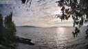 ./images/koeye/fitz-hugh/20260411/fitz-hugh20260411_184501M.jpg
