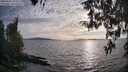 ./images/koeye/fitz-hugh/20260411/fitz-hugh20260411_185001M.jpg
