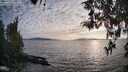 ./images/koeye/fitz-hugh/20260411/fitz-hugh20260411_191001M.jpg