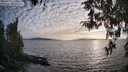 ./images/koeye/fitz-hugh/20260411/fitz-hugh20260411_191501M.jpg