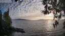 ./images/koeye/fitz-hugh/20260411/fitz-hugh20260411_192001M.jpg