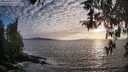 ./images/koeye/fitz-hugh/20260411/fitz-hugh20260411_192501M.jpg