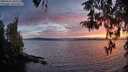 ./images/koeye/fitz-hugh/20260411/fitz-hugh20260411_202001M.jpg