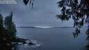 ./images/koeye/fitz-hugh/20260412/fitz-hugh20260412_062501M.jpg