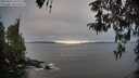 ./images/koeye/fitz-hugh/20260412/fitz-hugh20260412_072001M.jpg