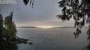 ./images/koeye/fitz-hugh/20260412/fitz-hugh20260412_073001M.jpg
