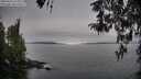 ./images/koeye/fitz-hugh/20260412/fitz-hugh20260412_074001M.jpg
