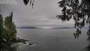 ./images/koeye/fitz-hugh/20260412/fitz-hugh20260412_081502M.jpg