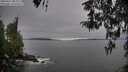 ./images/koeye/fitz-hugh/20260412/fitz-hugh20260412_083002M.jpg