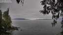 ./images/koeye/fitz-hugh/20260412/fitz-hugh20260412_084501M.jpg
