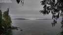 ./images/koeye/fitz-hugh/20260412/fitz-hugh20260412_091001M.jpg