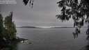 ./images/koeye/fitz-hugh/20260412/fitz-hugh20260412_091501M.jpg