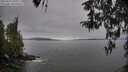 ./images/koeye/fitz-hugh/20260412/fitz-hugh20260412_095001M.jpg