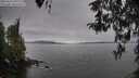 ./images/koeye/fitz-hugh/20260412/fitz-hugh20260412_095502M.jpg