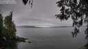 ./images/koeye/fitz-hugh/20260412/fitz-hugh20260412_100501M.jpg