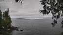 ./images/koeye/fitz-hugh/20260412/fitz-hugh20260412_110501M.jpg