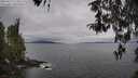 ./images/koeye/fitz-hugh/20260412/fitz-hugh20260412_113502M.jpg
