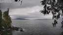 ./images/koeye/fitz-hugh/20260412/fitz-hugh20260412_114501M.jpg