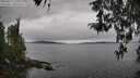 ./images/koeye/fitz-hugh/20260412/fitz-hugh20260412_120002M.jpg